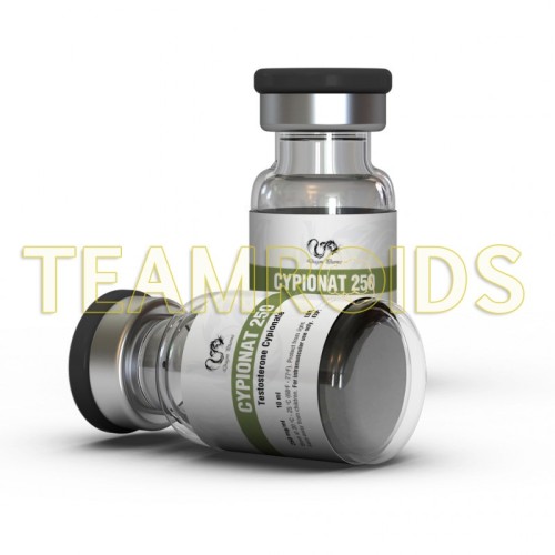 Cypionate 250 Dragon Pharma Cypionate 250 Dragon Pharma