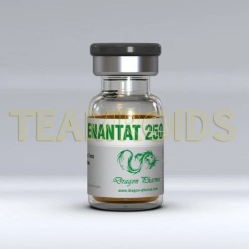 Enantat 250 Dragon Pharma Enantat 250 Dragon Pharma