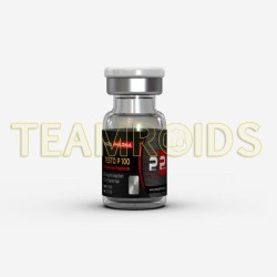 TESTO P 100 Para Pharma TESTO P 100 Para Pharma