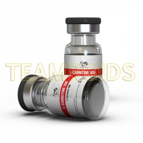 L-Carnitine 500 Dragon Pharma